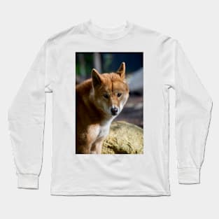 Dingo Close Up Long Sleeve T-Shirt